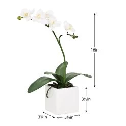 Orchid Potted Faux Single Stem 16" - White -Chic Furniture Shop 16856 z 2 lg