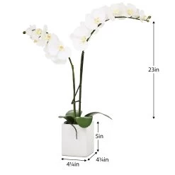Orchid Potted Faux Double Stem 23" - White -Chic Furniture Shop 16858 z 2 lg