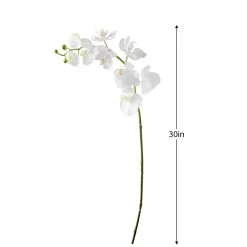 Orchid Faux Single Stem 30" - White -Chic Furniture Shop 16859 z 2 lg