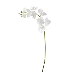 Orchid Faux Single Stem 30" - White