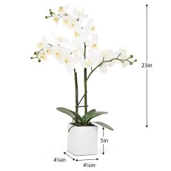 Orchid Potted Faux Triple Stem 23" - White -Chic Furniture Shop 16888 z 2 lg