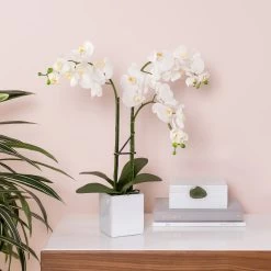 Orchid Potted Faux Triple Stem 23" - White -Chic Furniture Shop 16888 z 5 lg