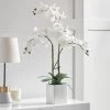 Orchid Potted Faux Triple Stem 23" - White -Chic Furniture Shop 16888 z lg