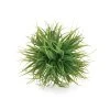 Grass Ball 4" Diameter 2 Grass Ball 4" Diameter -Chic Furniture Shop 17924 z lg