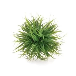 Grass Ball 4" Diameter