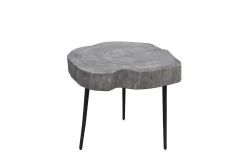 Organic Trunk Side Table - Rustic Grey