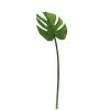 Monstera Leaf 23L" Stem