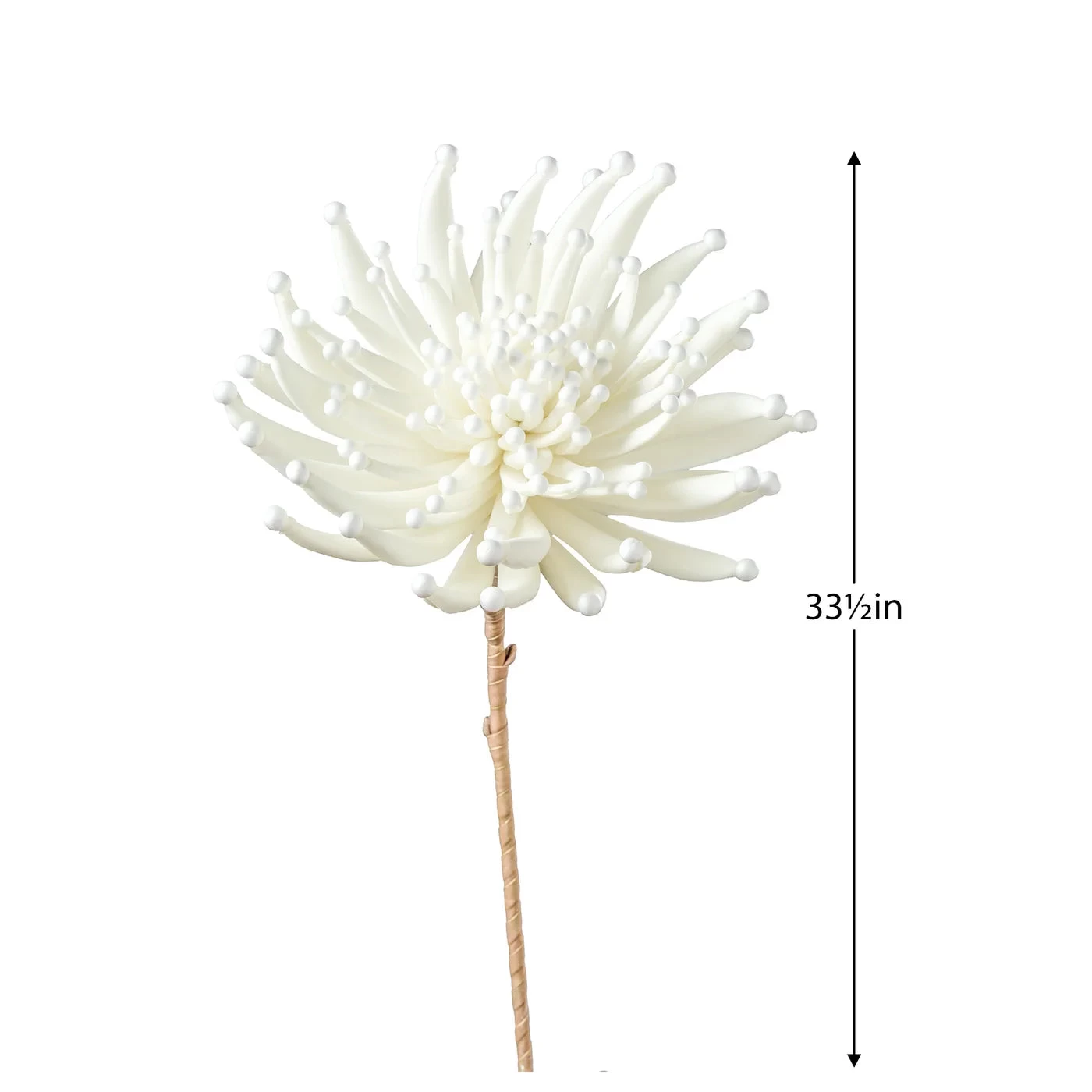 Desert Zinnia Burst 33.5L" Stem - White 4 Desert Zinnia Burst 33.5L" Stem - White - Image 2