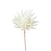 Desert Zinnia Burst 33.5L" Stem - White -Chic Furniture Shop 23240 z lg