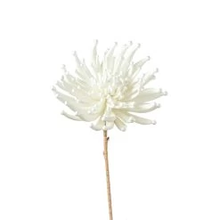 Desert Zinnia Burst 33.5L" Stem - White