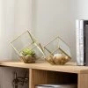 Oro Cube 2 Piece Glass Terrarium Set -Chic Furniture Shop 23518 z lg