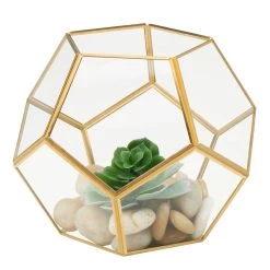 Oro Glass Sphere 6h" Terrarium -Chic Furniture Shop 23519 z 2 lg