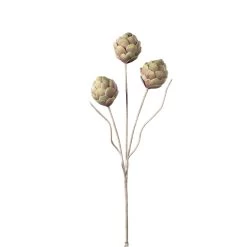 Desert 3 Pod Artichoke 45L" Stem
