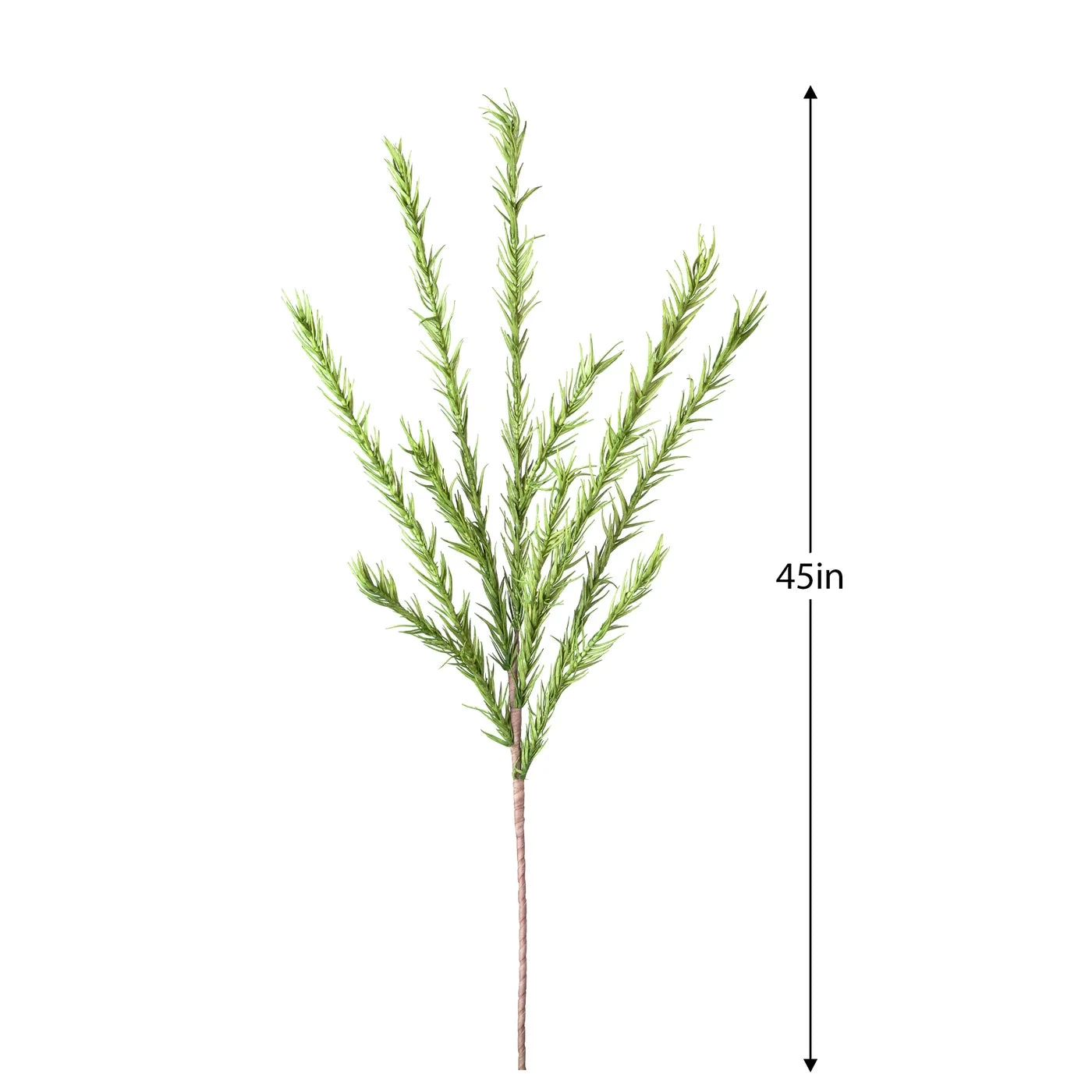 Desert Pine 45L" Stem - Green 4 Desert Pine 45L" Stem - Green - Image 2