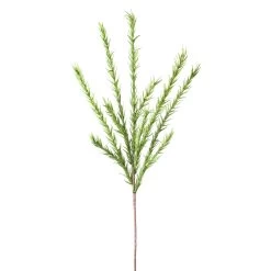 Desert Pine 45L" Stem - Green
