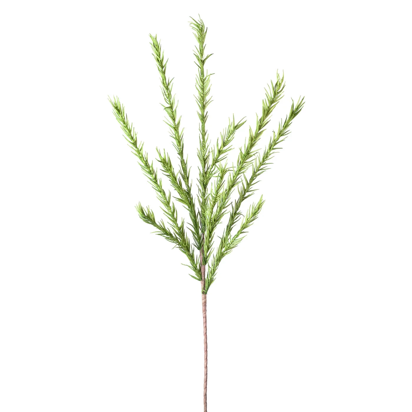 Desert Pine 45L" Stem - Green 3 Desert Pine 45L" Stem - Green