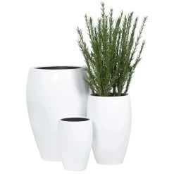 Chic Furniture Shop -Chic Furniture Shop 24135 z 1 lg