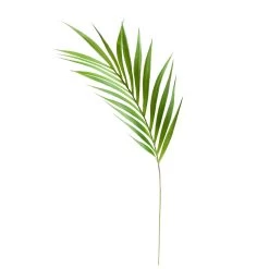 Palm Leaf 36" Stem