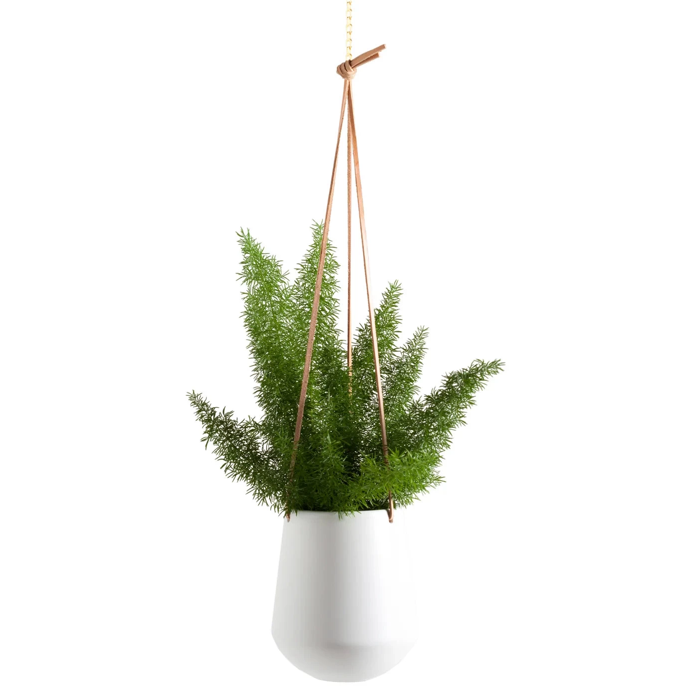 Ashbury Leather Hanging 5.75" Diameter White Ceramic Drop Pot Planter 7 Ashbury Leather Hanging 5.75" Diameter White Ceramic Drop Pot Planter - Image 5