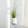 Ashbury Leather Hanging 5.75" Diameter White Ceramic Drop Pot Planter
