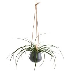 Ashbury Leather Hanging 5" Diameter Grey Ceramic Drop Pot Planter 12 Ashbury Leather Hanging 5" Diameter Grey Ceramic Drop Pot Planter -Chic Furniture Shop 24959 z 2 lg