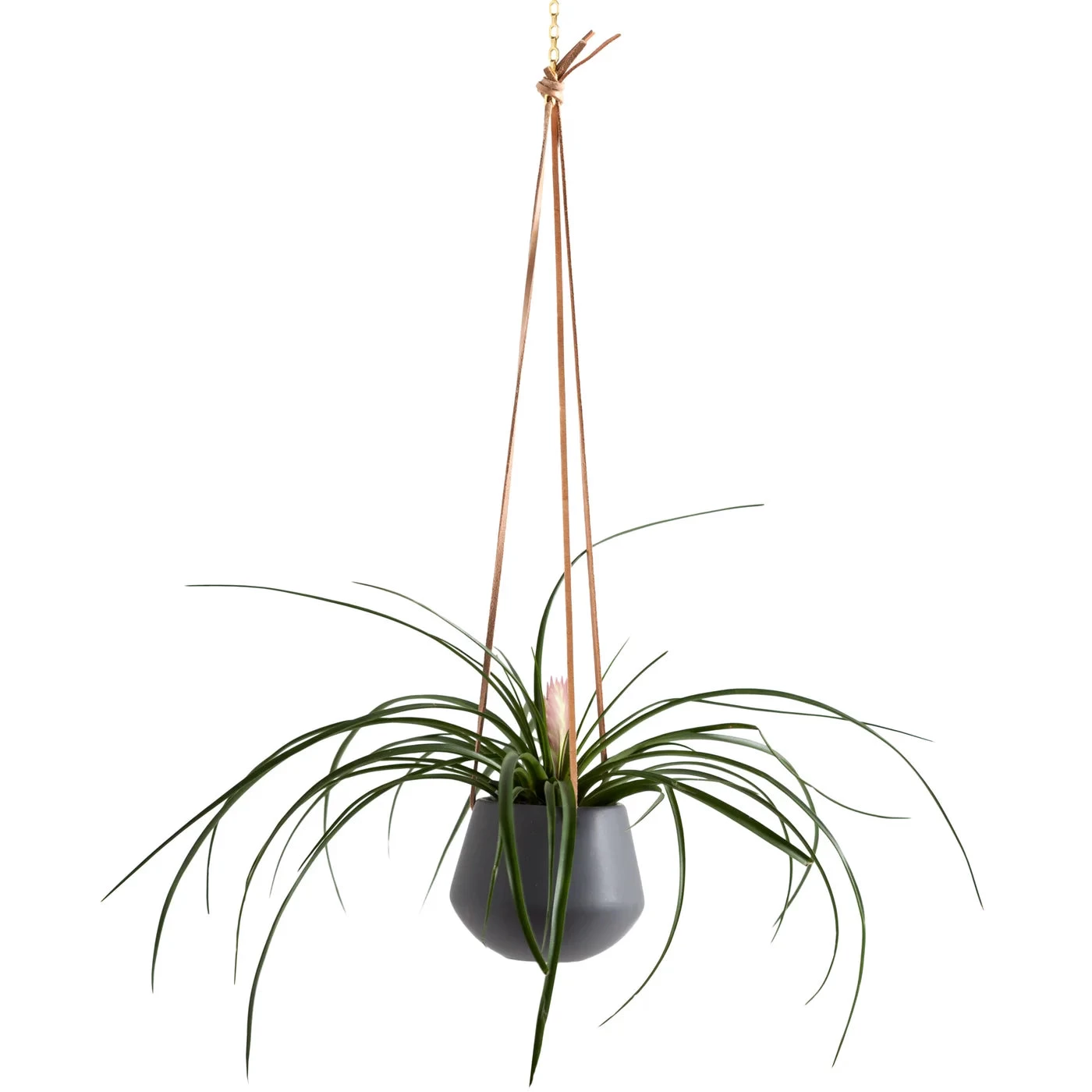 Ashbury Leather Hanging 5" Diameter Grey Ceramic Drop Pot Planter 7 Ashbury Leather Hanging 5" Diameter Grey Ceramic Drop Pot Planter - Image 5