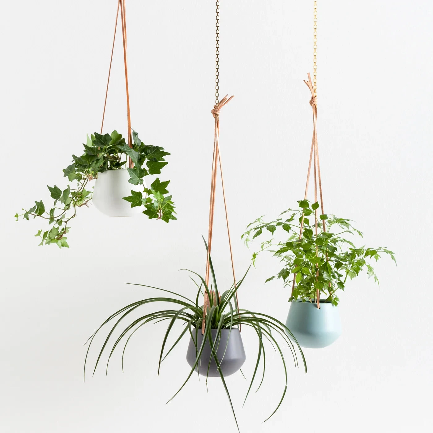 Ashbury Leather Hanging 5" Diameter Grey Ceramic Drop Pot Planter 8 Ashbury Leather Hanging 5" Diameter Grey Ceramic Drop Pot Planter - Image 6