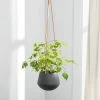 Ashbury Leather Hanging 5" Diameter Grey Ceramic Drop Pot Planter -Chic Furniture Shop 24959 z lg