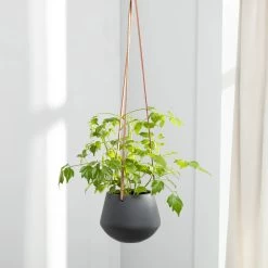 Ashbury Leather Hanging 5" Diameter Grey Ceramic Drop Pot Planter
