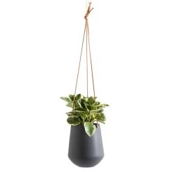 Ashbury Leather Hanging 5.75" Diameter Grey Ceramic Drop Pot Planter -Chic Furniture Shop 24960 z 2 lg