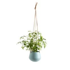 Ashbury Leather Hanging 5" Diameter Teal Ceramic Drop Pot Planter -Chic Furniture Shop 24961 z 2 lg 0d6e9a7a e935 41af ae80 6e135774c29d