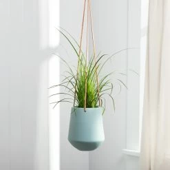Ashbury Leather Hanging 5.75" Teal Ceramic Drop Pot Planter