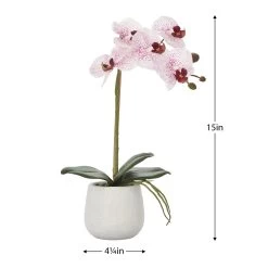 Phalaenopsis Potted 15" Faux Single Stem Orchid - Pink -Chic Furniture Shop 25016 z 2 lg