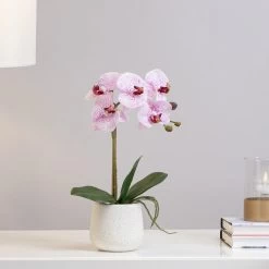 Phalaenopsis Potted 15" Faux Single Stem Orchid - Pink -Chic Furniture Shop 25016 z 3 lg