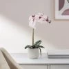 Phalaenopsis Potted 15" Faux Single Stem Orchid - Pink -Chic Furniture Shop 25016 z lg