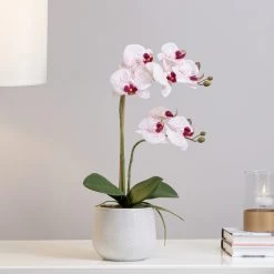 Phalaenopsis Potted 18" Faux Double Stem Orchid - Pink -Chic Furniture Shop 25017 z 3 lg