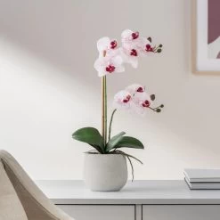 Phalaenopsis Potted 18" Faux Double Stem Orchid - Pink