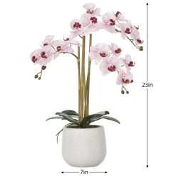 Phalaenopsis Potted 23" Faux Triple Stem Orchid - Pink -Chic Furniture Shop 25018 z 2 lg