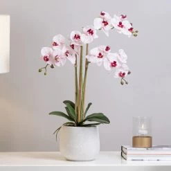Phalaenopsis Potted 23" Faux Triple Stem Orchid - Pink -Chic Furniture Shop 25018 z 3 lg