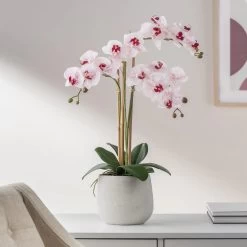 Chic Furniture Shop 21 Phalaenopsis Potted 23" Faux Triple Stem Orchid - Pink
