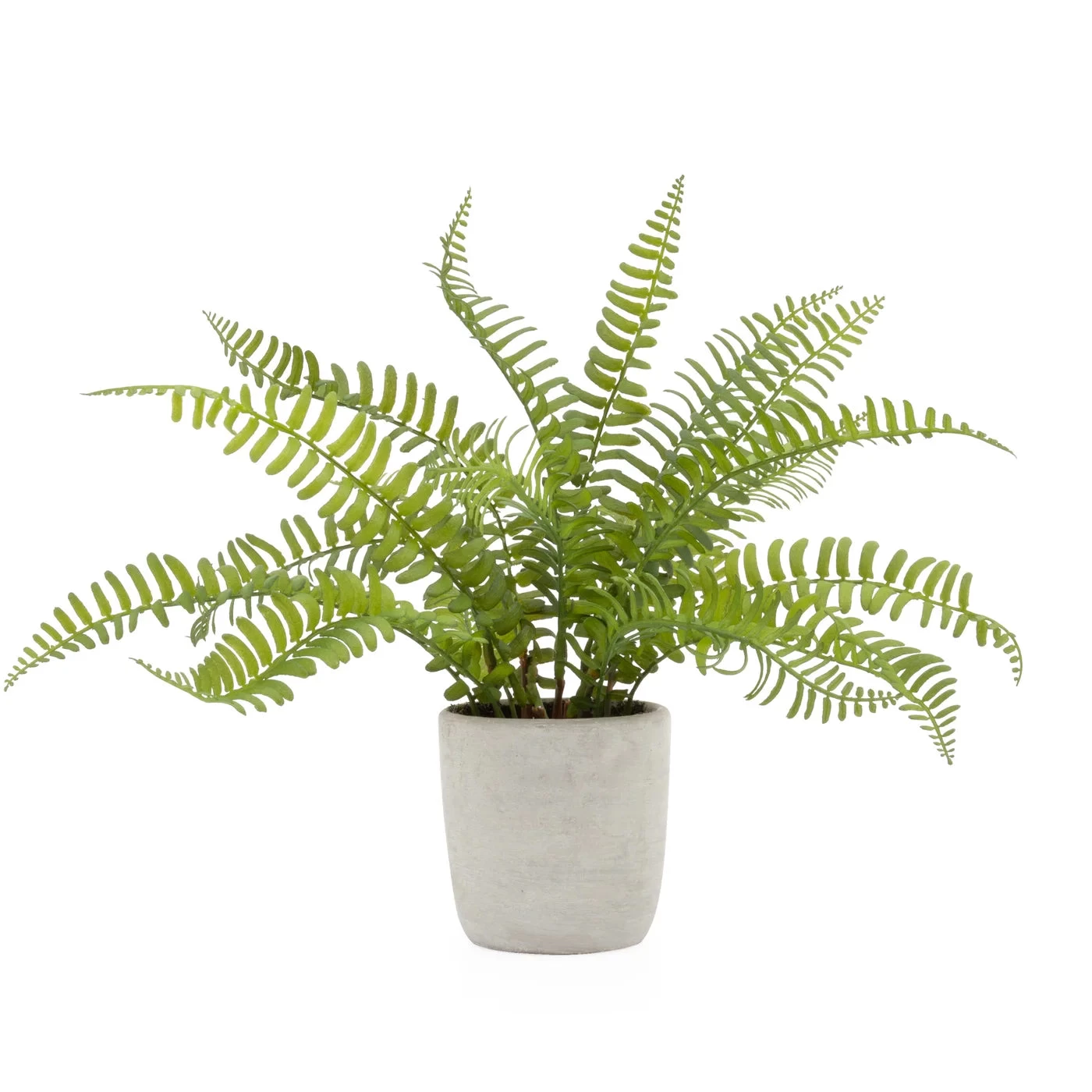 Solaro Round 3.5d" Potted Faux Plant - Boston Fern 4 Solaro Round 3.5d" Potted Faux Plant - Boston Fern - Image 2