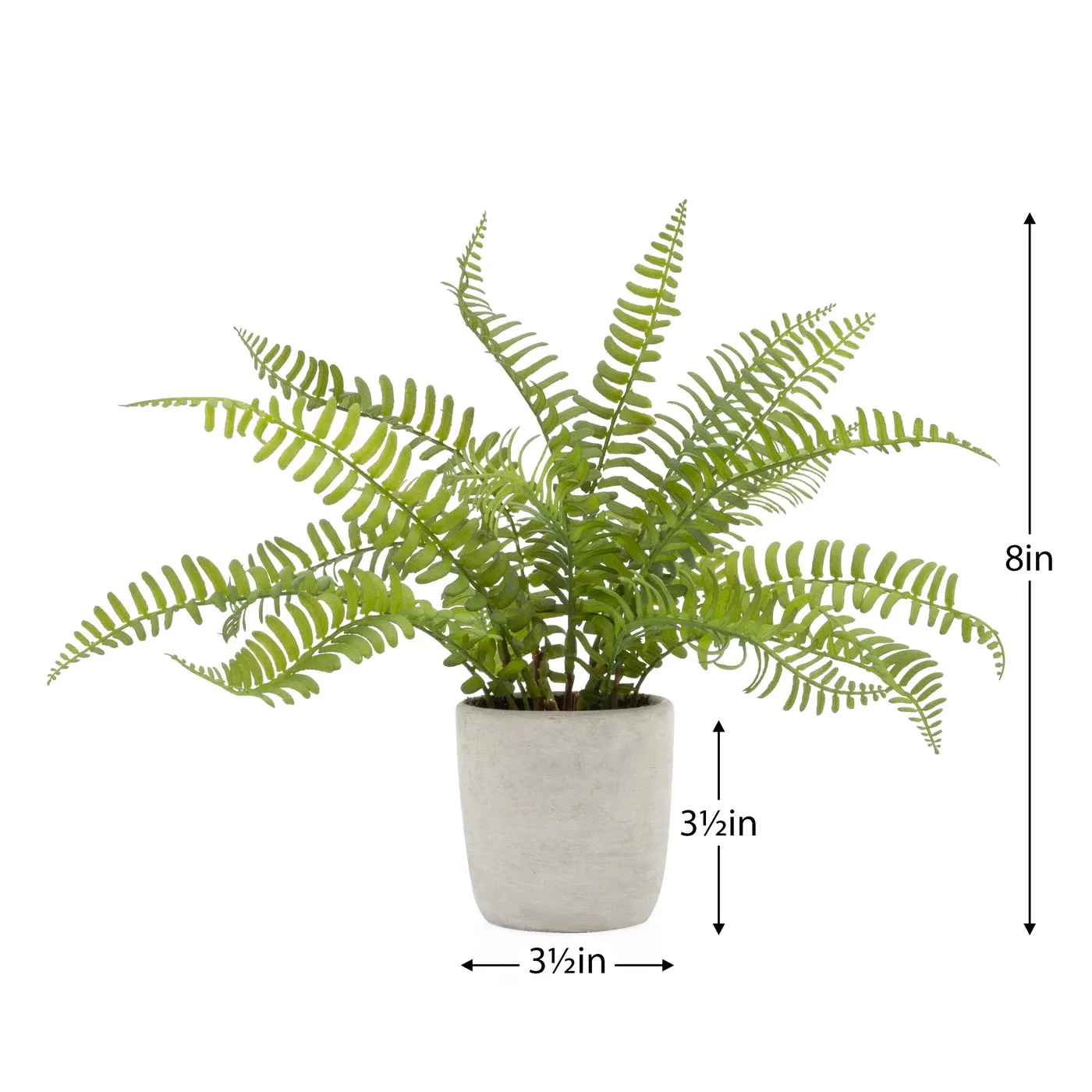 Solaro Round 3.5d" Potted Faux Plant - Boston Fern 5 Solaro Round 3.5d" Potted Faux Plant - Boston Fern - Image 3