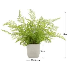 Solaro Round 3.5d" Potted Faux Plant - Alpine Fern -Chic Furniture Shop 25291 z 2 lg