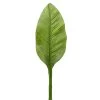 Banana Leaf 34" Stem -Chic Furniture Shop 25462 z lg