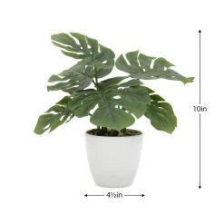 Villa 4.5d" Faux Potted 10" Plant - Monstera -Chic Furniture Shop 25753 z 2 lg