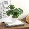 Villa 4.5d" Faux Potted 10" Plant - Monstera