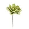 Desert Succulent Light Green Pinched Echeveria 33" Stem -Chic Furniture Shop 25983 z lg