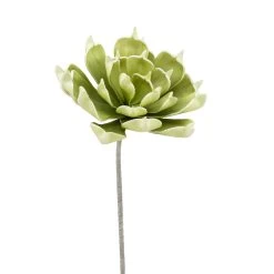 Desert Succulent Light Green Pinched Echeveria 33" Stem