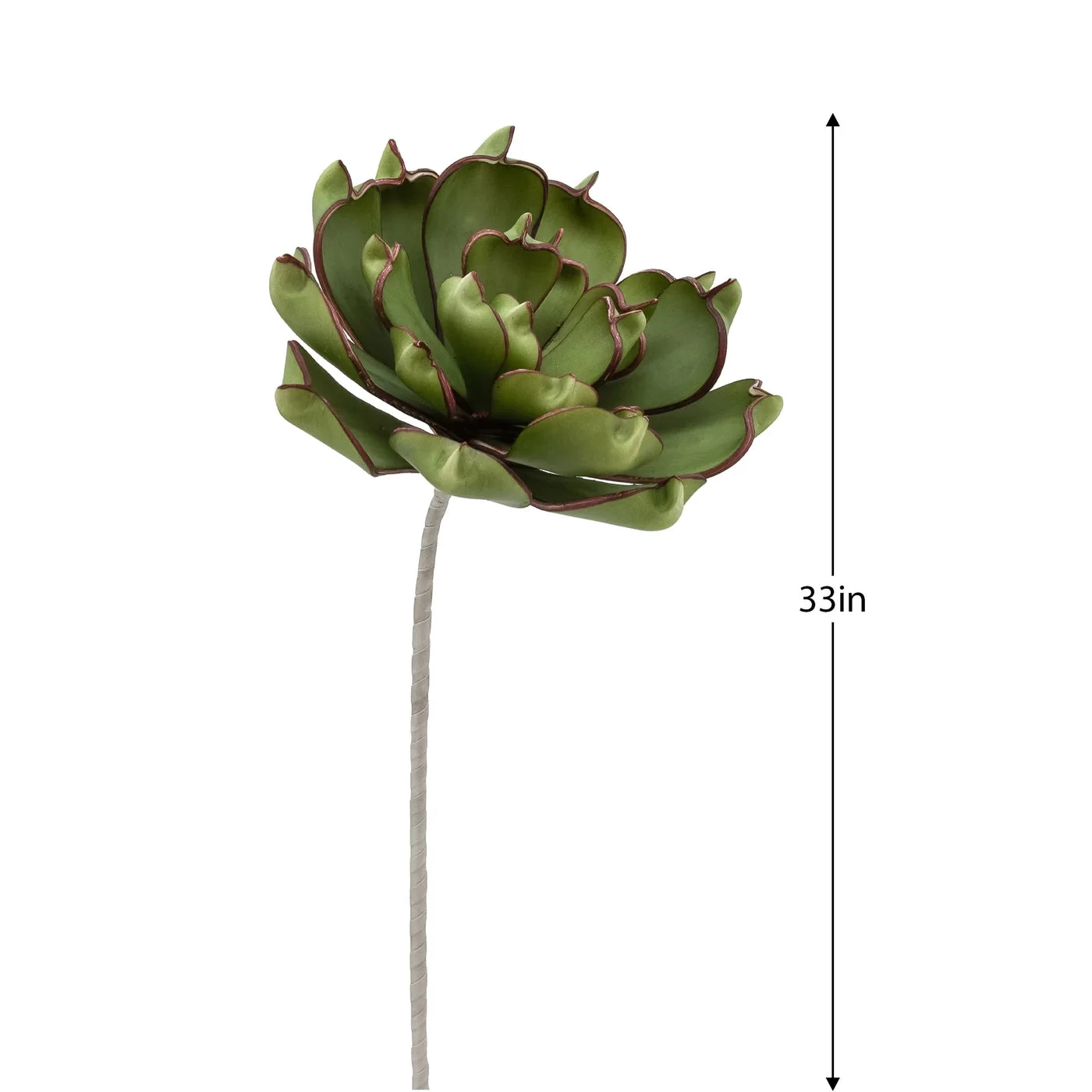 Desert Succulent Dark Green Pinched Echeveria 33" Stem 4 Desert Succulent Dark Green Pinched Echeveria 33" Stem - Image 2