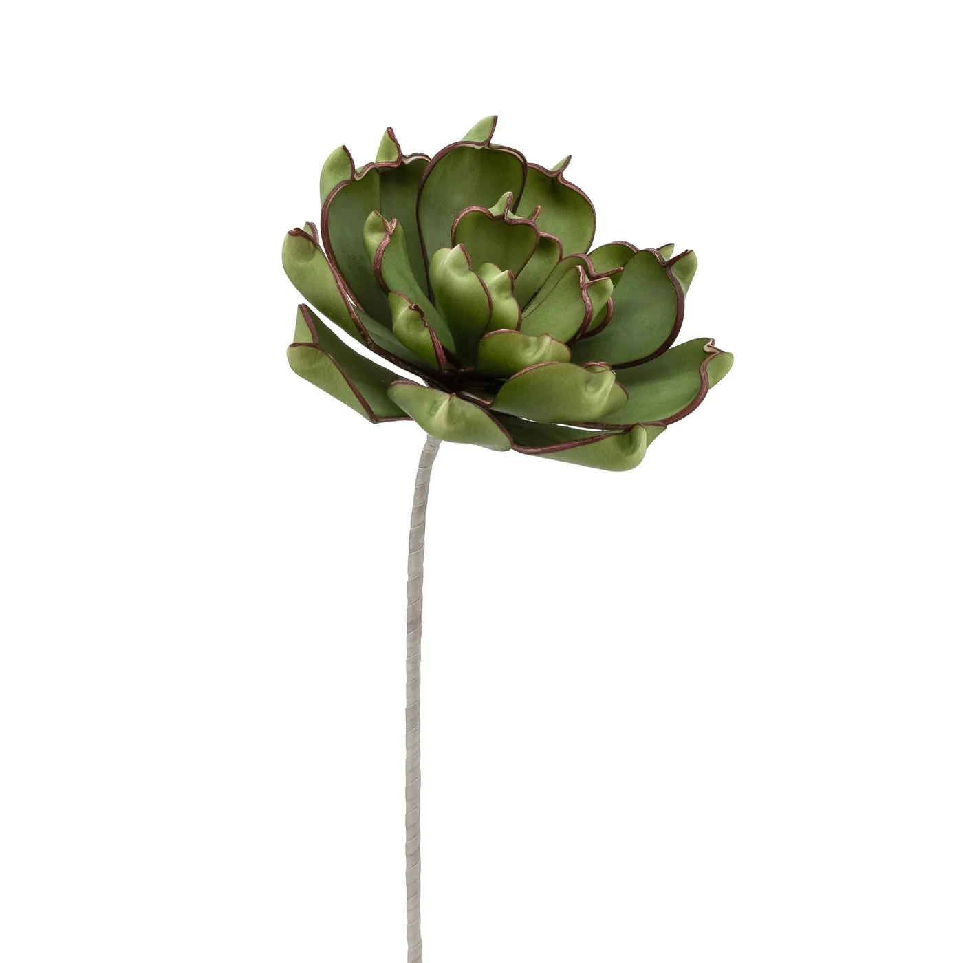 Desert Succulent Dark Green Pinched Echeveria 33" Stem 3 Desert Succulent Dark Green Pinched Echeveria 33" Stem